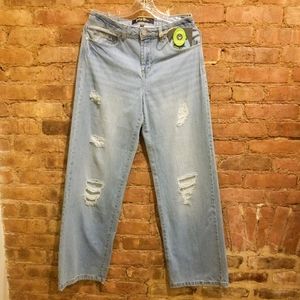 Indigo Rein Flared Jeans